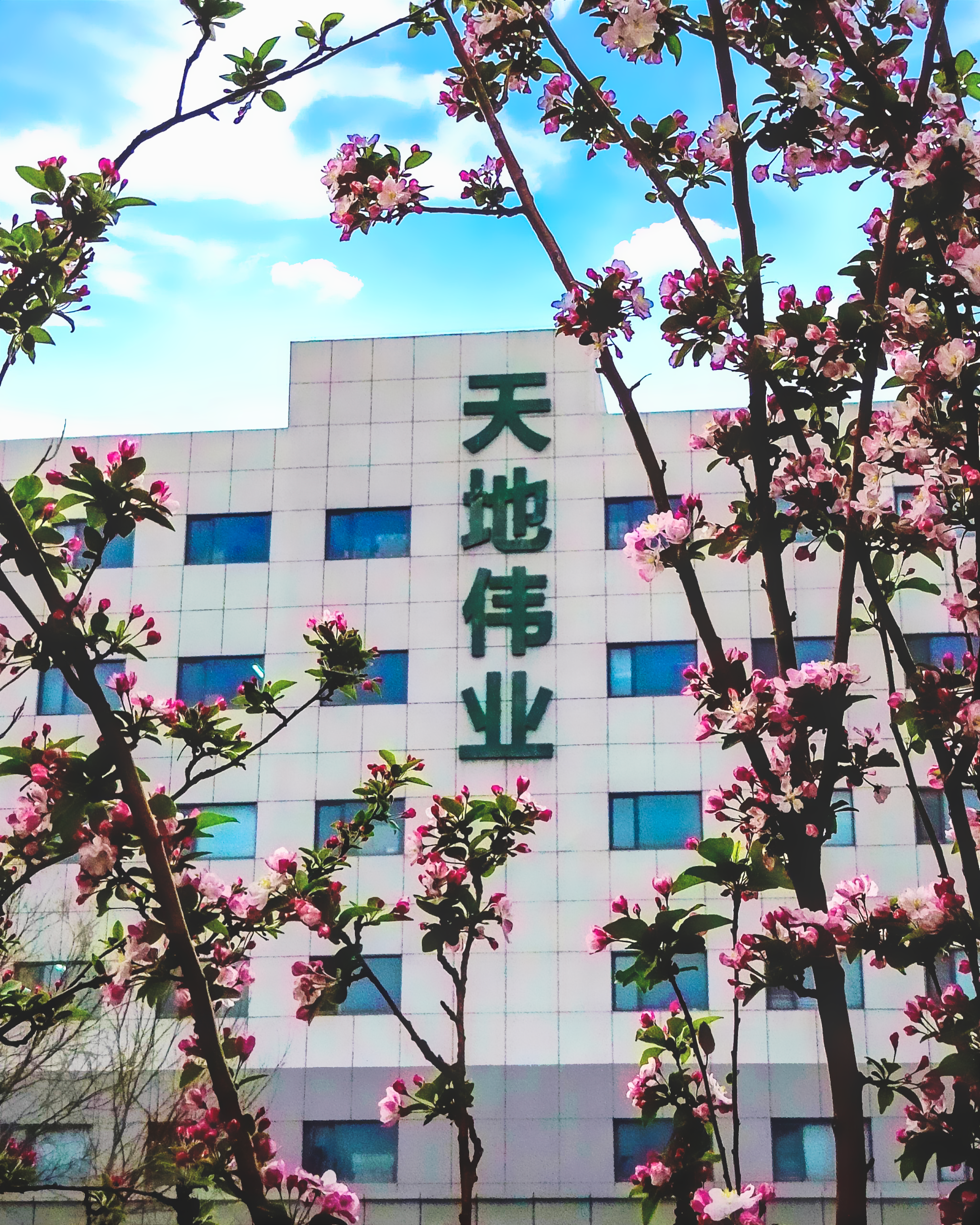 asiagame(中国)asiagaming