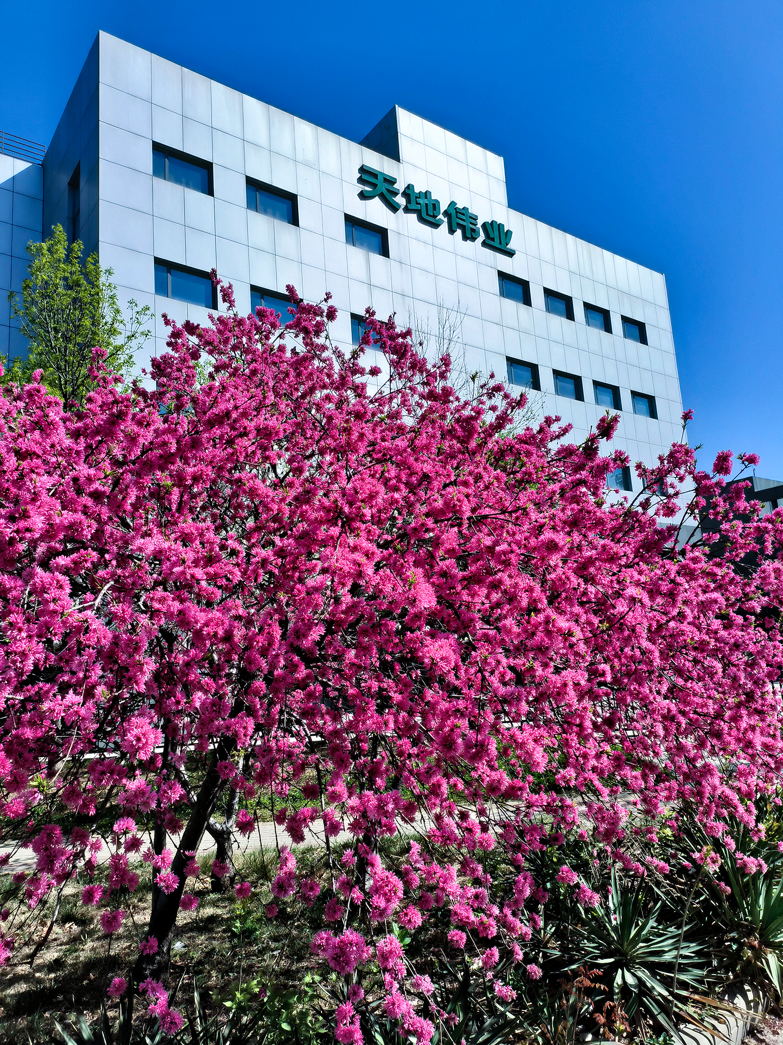 asiagame(中国)asiagaming