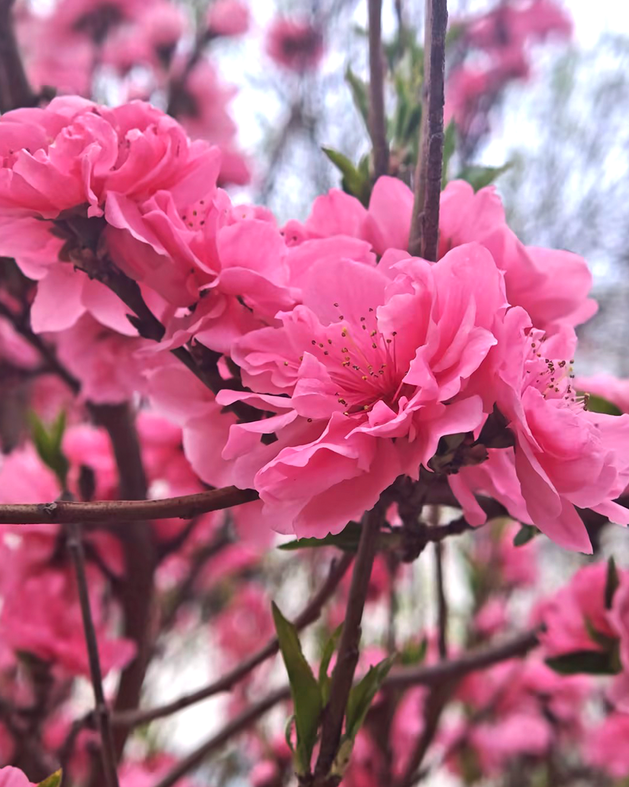 asiagame(中国)asiagaming