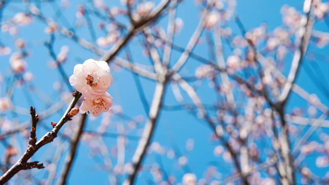 asiagame(中国)asiagaming