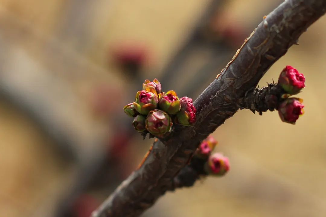 asiagame(中国)asiagaming