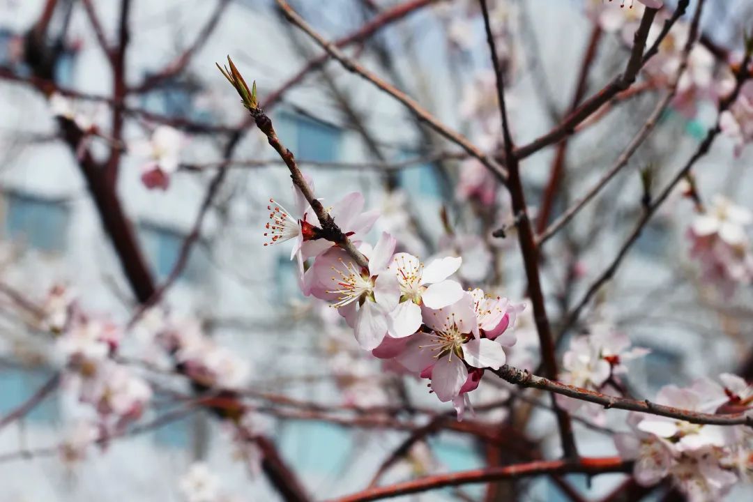 asiagame(中国)asiagaming