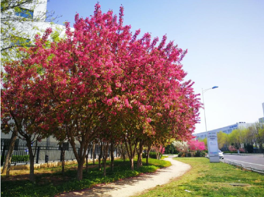 asiagame(中国)asiagaming