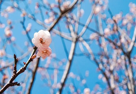 asiagame(中国)asiagaming